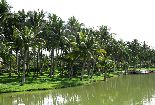 只有創(chuàng)新產(chǎn)品，才能占據(jù)市場(chǎng)主導(dǎo)地位